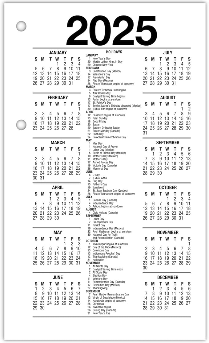 AT-A-GLANCE 2025 Desk Calendar Refill, Daily, 3-1/2" x 6", Standard, Loose-Leaf, Recycled (E717R5025)