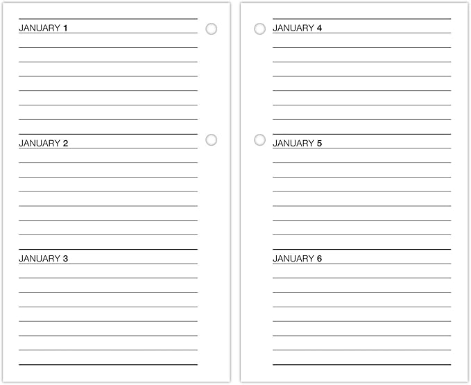 AT-A-GLANCE 2025 Desk Calendar Refill, Daily, 3-1/2" x 6", Standard, Loose-Leaf (E7175025)