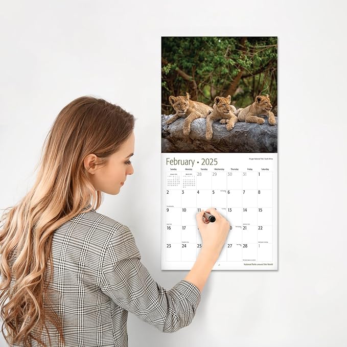 RED EMBER National Parks Around the World 2025 Wall Calendar 12 Month | 12" x 24" Open | Thick & Sturdy Paper | Giftable | Calendar 2025