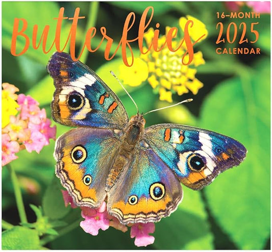 Butterflies 2025 Full Size Wall Calendar for Planning, Scheduling, and Organizing