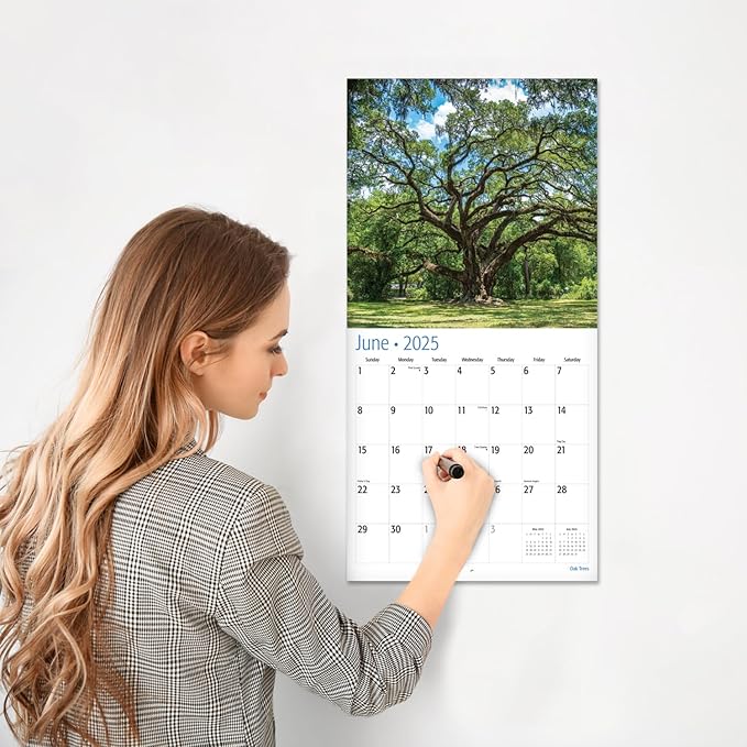 RED EMBER Oak Trees 2025 Wall Calendar 12 Month | 12" x 24" Open | Thick & Sturdy Paper | Giftable | Calendar 2025