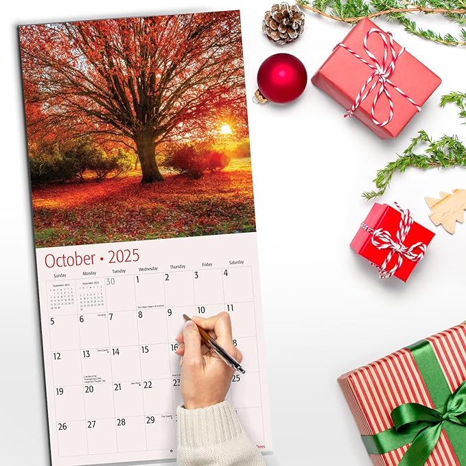 RED EMBER Oak Trees 2025 Wall Calendar 12 Month | 12" x 24" Open | Thick & Sturdy Paper | Giftable | Calendar 2025